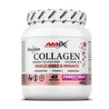 Colágeno Viscofan de Amix Nutrition